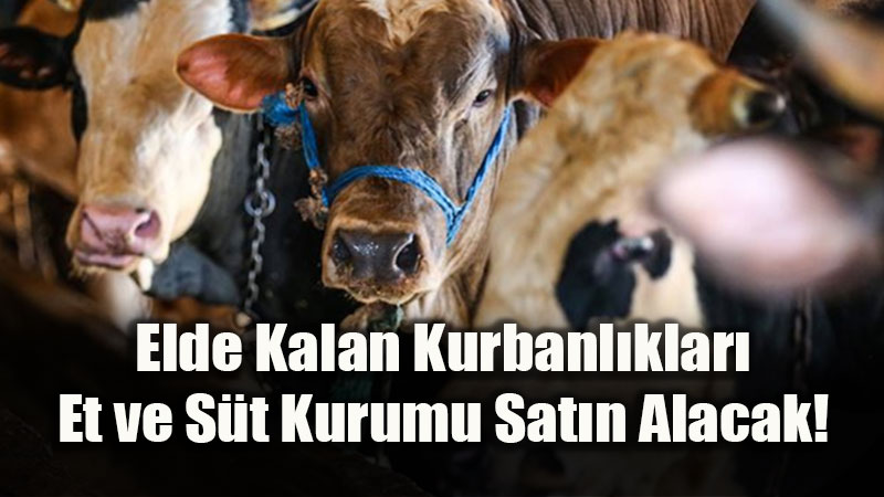 Sat�lamayan Kurbanl�klar Kurban Primiyle Birlikte Devlet Al�nacak!