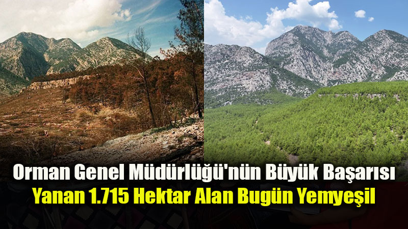 K�llerinden Do�an Mucize: Antalya D�zler�am� 29 Y�l Sonra Yeniden Cennete D�nd�