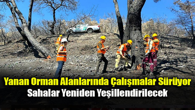 Yanan Orman Alanlar�nda Temizlik Ve A�a�land�rma �al��malar� S�r�yor